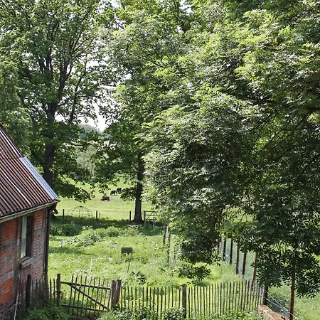 Auf Der Rübenburg Barnsen
