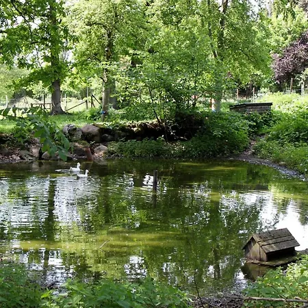 Auf Der Rübenburg Barnsen